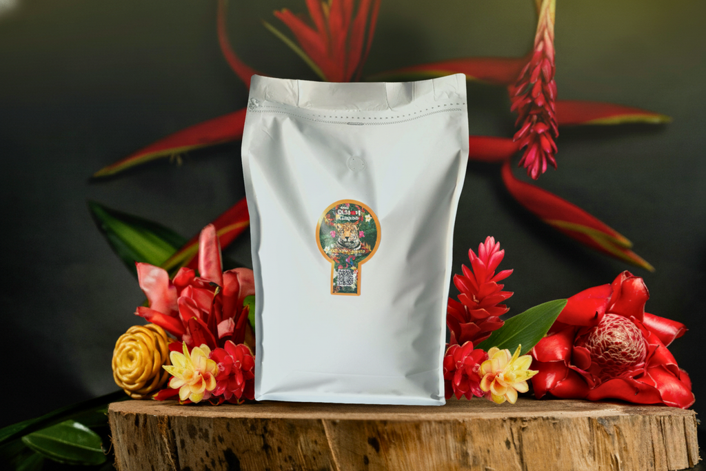 Café Pazión Caquetá Especial Tradicional x3000gr Institucional